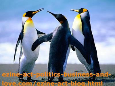 Penguins Love.