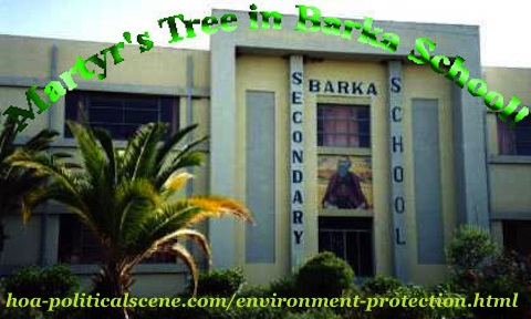 home-biz-trends.com/about-me.html - About Me: Martyr's Tree in Barka School in Asmara & many places, first phase in the environmental project I planned. We planted over 5,000,000 martyr's trees.
