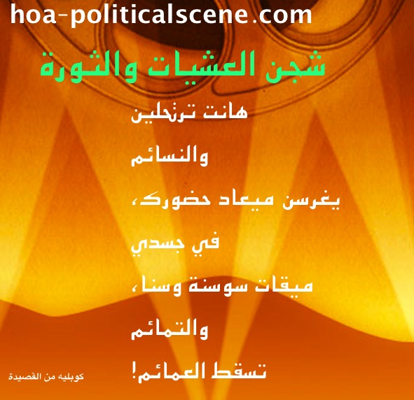 Digital and Video Products: Arabic Poems by Khalid Osman Designed on Images, as Image Content.
