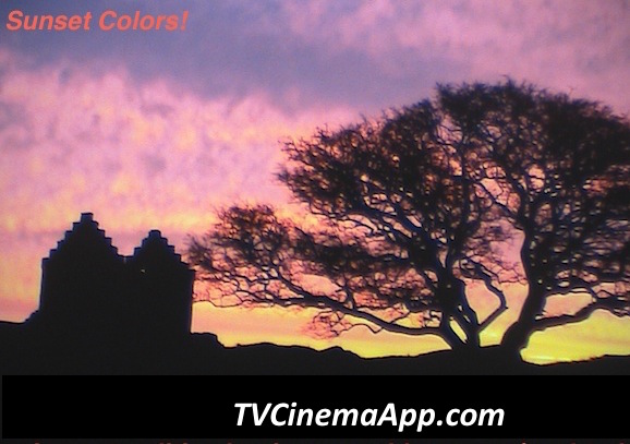 Home Biz Trends - Ezine Acts RSS: to syndicate sunset colors across pictures platforms and learn from it how it works.