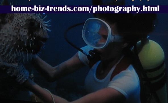 home-biz-trends.com/photography.html - Photography: Sea diving, underwater species.