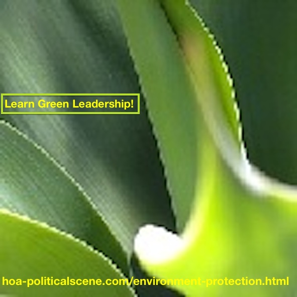 How to Be A Leader?: Learn Green Leadership.