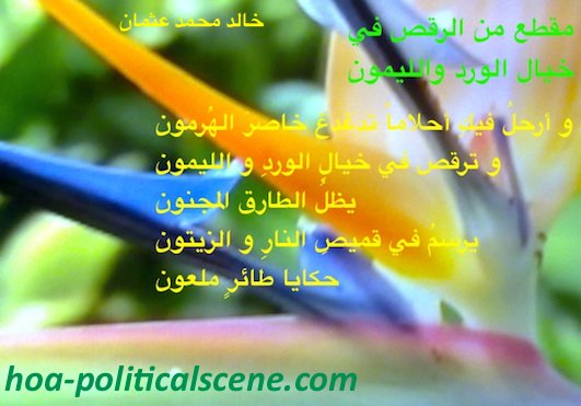 home-biz-trends.com - Love and sex: in the Arabic poetry "Dancing in the Fancy of Roses and Lemon" by poet and journalist Khalid Mohammed Osman.