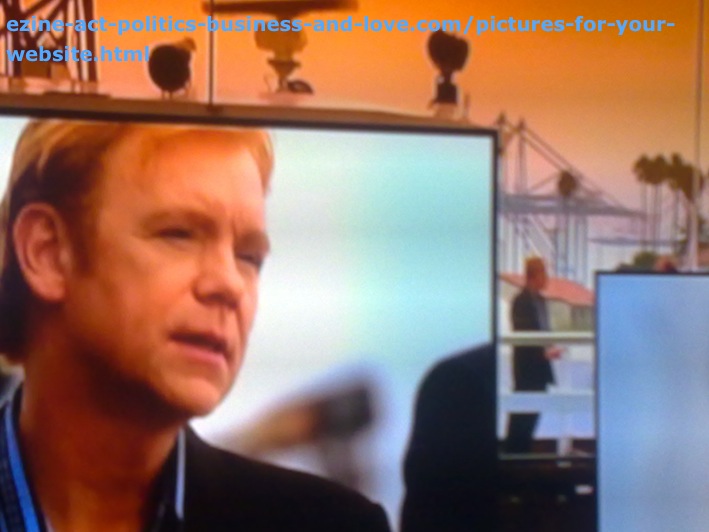 Pictures for Your Website, David Caruso, Horatio Caine, CSI Miami