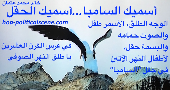 home-biz-trends.com/ping-and-rss.html - Ping and RSS: I Call You Samba, I Call You a Field couplet of poetry by poet and journalist Khalid Mohammed Osman on beautiful image of flapping bird.