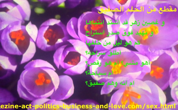 Sex Shades in Cheeky Dream, Arabic Poetry by Khalid Osman