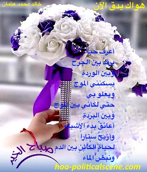 home-biz-trends.com/wakening-of-the-phoenix.html - Wakening of the Phoenix: "Your Love is Beating Now" by Sudanese poet, Sudanese journalist Khalid Mohammed Osman on flowers bouquet.